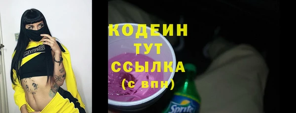 дурь Арсеньев