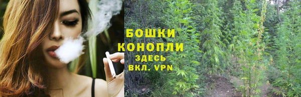 дурь Арсеньев