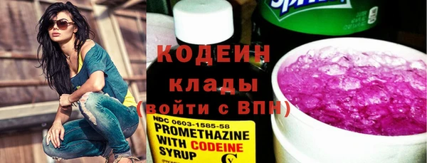 дурь Арсеньев